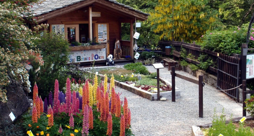 Oropa's botanic garden, Italy, Italy